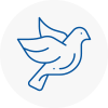 Bird Prevention Yeovil
