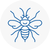 Yeovil Hornet Nest Removals