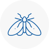 Moth Control Specialists In Yeovil