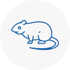 Rat Control Yeovil