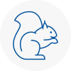 Yeovil Rodent Removals